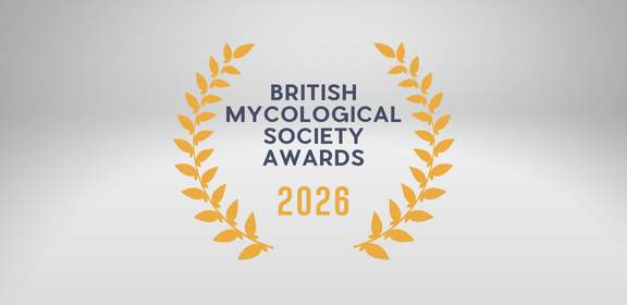 Logo for the BMS Awards 2026