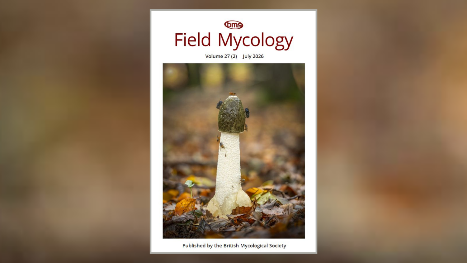 Front cover of Field Mycology journal - July 2026
