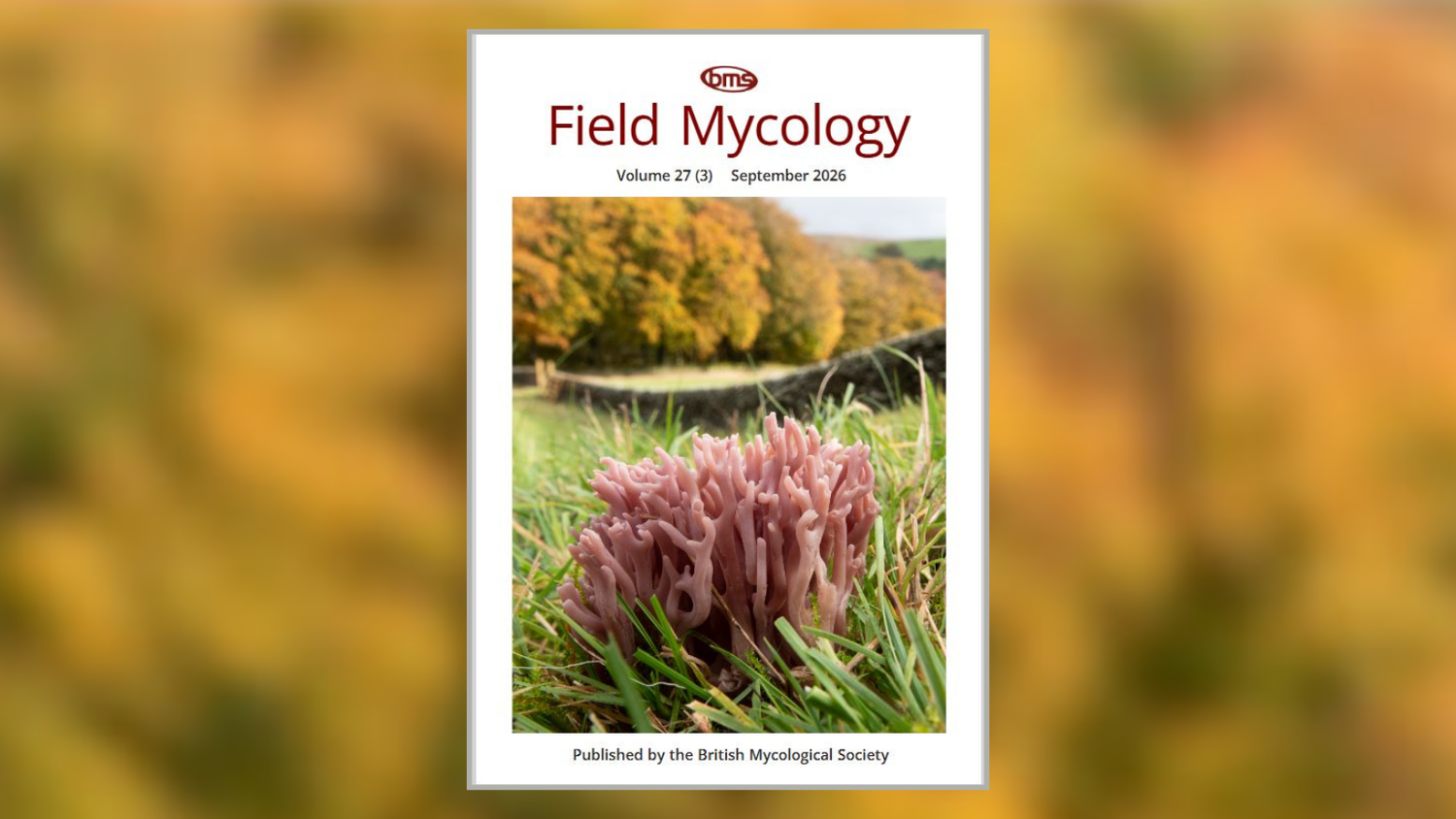 Front cover of Field Mycology journal - September 2026