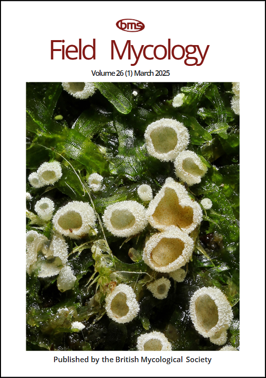 Cover of the Field Mycology journal, March 2025 issue