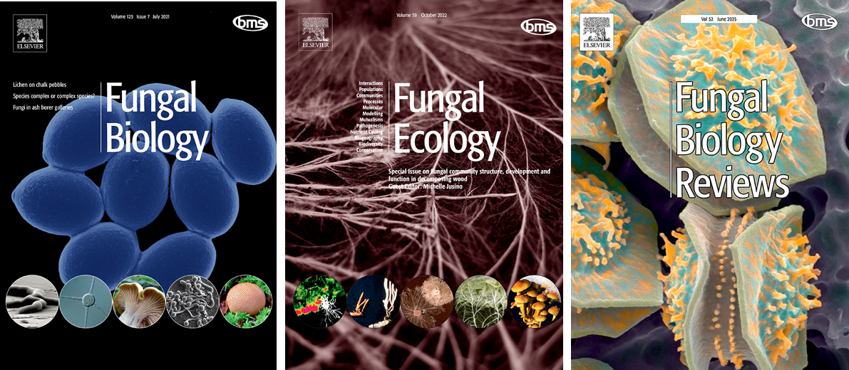 Covers of the BMS journals Fungal Biology, Fungal Ecology and Fungal Biology Reviews