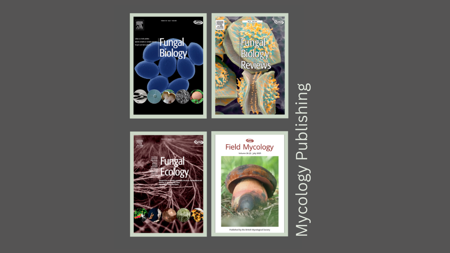 Thumbnail image for Mycology_Publishing_Webinar_-_330_(1)-1152.png