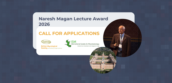 Call for applications for the 2026 Naresh Magan Lecture Award